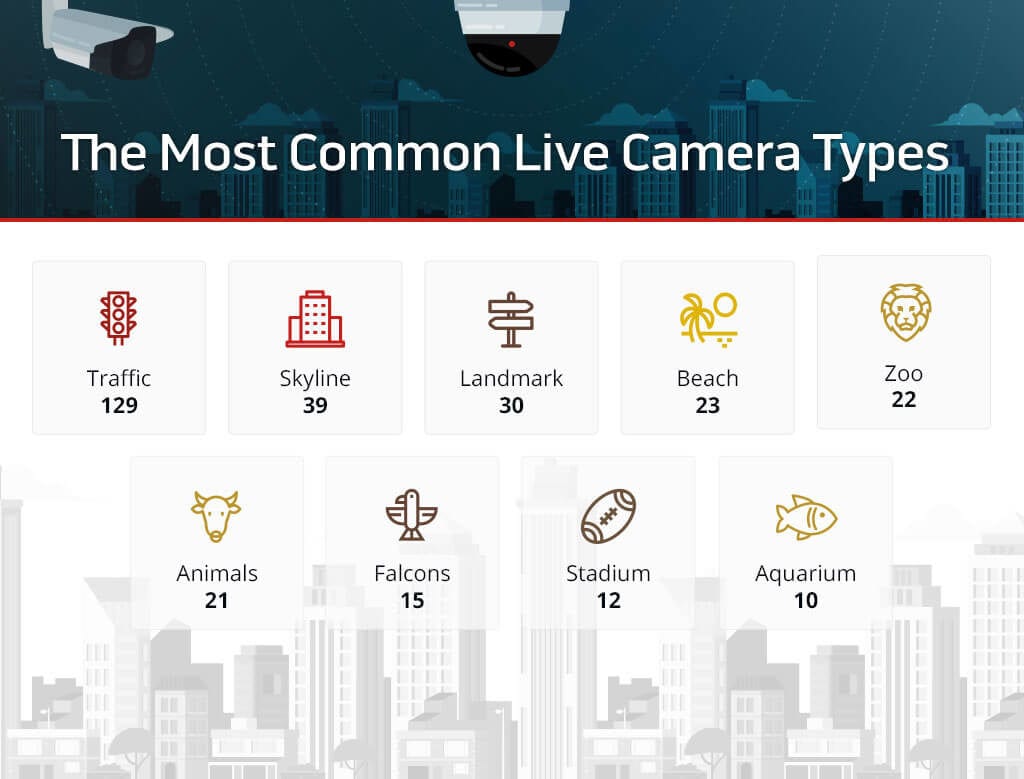 The most common live camera types graphic